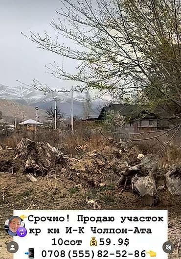 студия 1 комнатная: 10 соток, Для строительства, Красная книга — 4