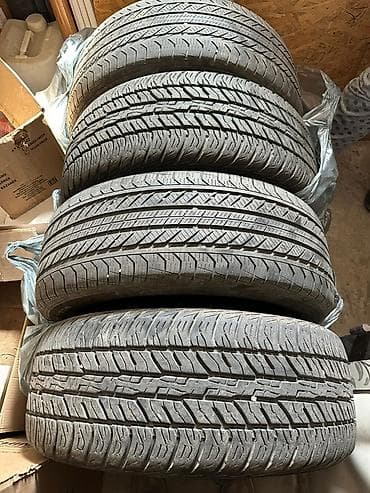 kan: Шины 235 / 55 / R 18, Всесезонная, Комплект, Легковые, Dunlop — 6