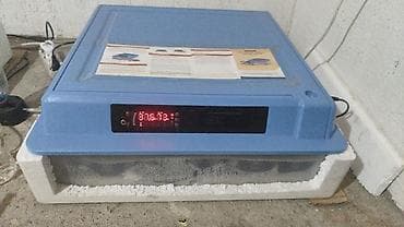 Өндүрүш үчүн жабдуулар: Полностью автоматический интеллектуальный инкубатор для яиц Описание — 2