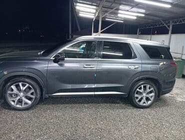 дверь портер 1: Hyundai Palisade: 2019 г., 2.2 л, Автомат, Дизель, Кроссовер — 2