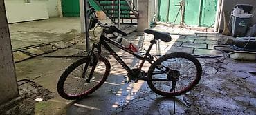 Велосипеды: Горный велосипед LSFP Riding SR Typhoon - Рама: стальная, размер — 10