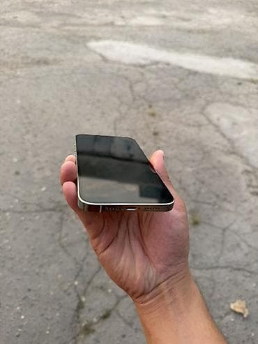 pad 7 pro: IPhone 13 Pro Max, Б/у, 256 ГБ, Белый — 7