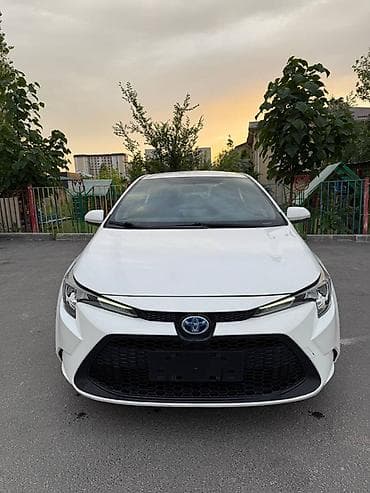 бампер на лупарик: Toyota Levin: 2021 г., 1.8 л, Автомат, Гибрид, Седан — 1