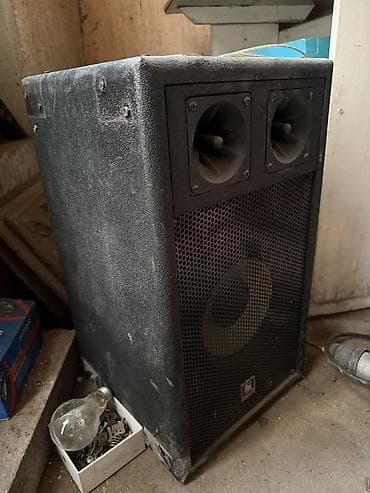 jbl flip 4: Колонка с усилителем 2шт, для проверки у меня нечего нету! Динамик — 2