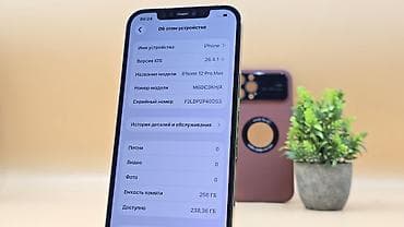 ipone 16: IPhone 12 Pro Max, Б/у, 256 ГБ, Золотой, Зарядное устройство, Чехол, 81 % — 8