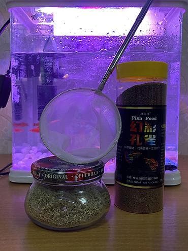 Аквариумдар: Продаю аквариум с рыбками а так же с кормом на 1 год хватит — 3
