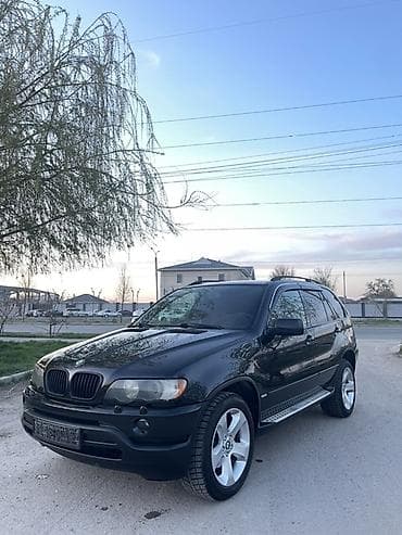 BMW X5: 2002 г., 3 л, Автомат, Дизель, Кроссовер