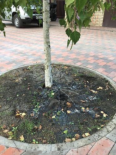 Садовая мебель: Теплицы — 5