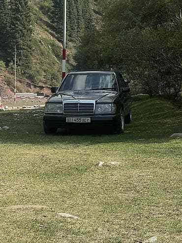 авто подборщик: Mercedes-Benz W124: 1992 г., 2.2 л, Механика, Бензин, Седан — 5