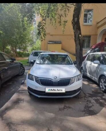 шкода авто: Skoda Octavia: 2019 г., 1.6 л, Механика, Бензин, Универсал — 1