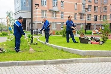 пересадка дерева: Уборка территории, Уборка двора и сада, Чистка брусчатки, Стрижка газона — 7