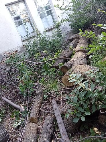 купля дрова: Дрова Самовывоз — 1