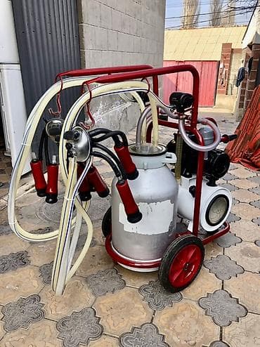 А/ч жаныбарларын сатып алам: Продаю турецкий доильный аппарат на две каровы в идеальном состоянии — 4