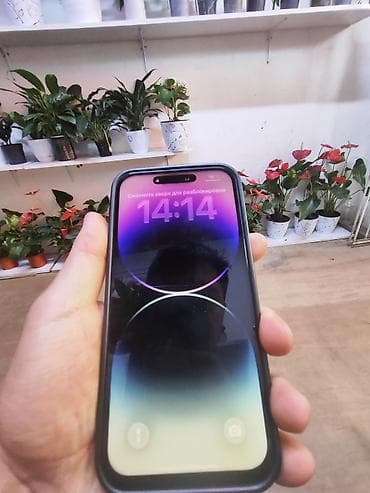 IPhone 14 Pro Max, Б/у, 256 ГБ, Deep Purple, Чехол, 100 % — 2