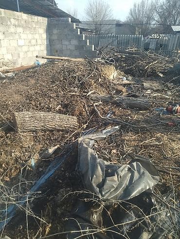 уборка кылам: Аймактарды жыйнап тазалоо, Уборка двора и сада — 2