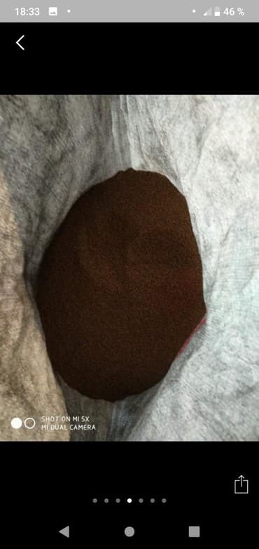 уголь каракече бешсары шабыркуль каражыра доставка бишкек купить фото: Уруктар тоют өсүмдүктөрүнүн: Беде — 1