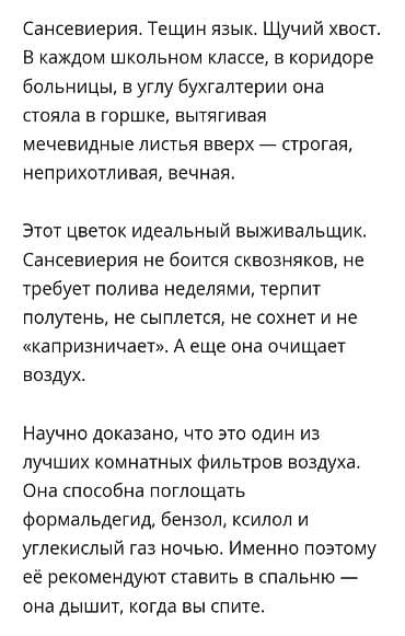 Распродажа комнатных цветов! Сенсевиерии отростки от150с.! в горшках