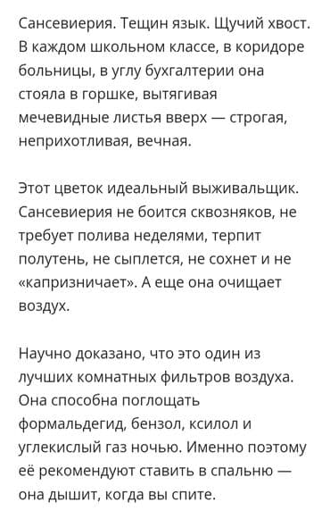 вьющиеся растения: Распродажа комнатных цветов! Цены от 150с.! — 2