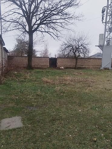 Продажа домов: Продаётся дом в селе Эфиранос, на участке 20 соток (с тапчаном) — 6