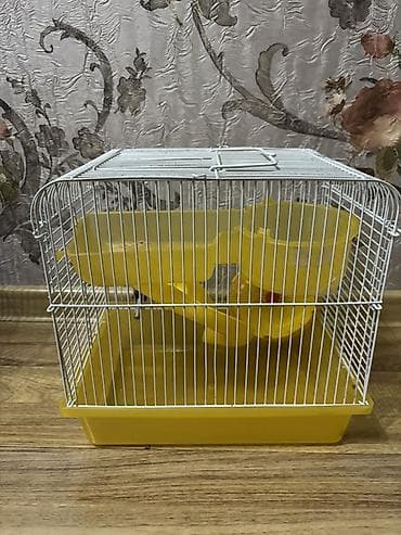 Клетка для грызунов с аксессуарами - Компактная двухуровневая клетка