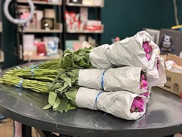 бутон: ПИОНЫ ОПТОМ Свежие бутоны Цена договорная Цвета: розовый, белый — 4