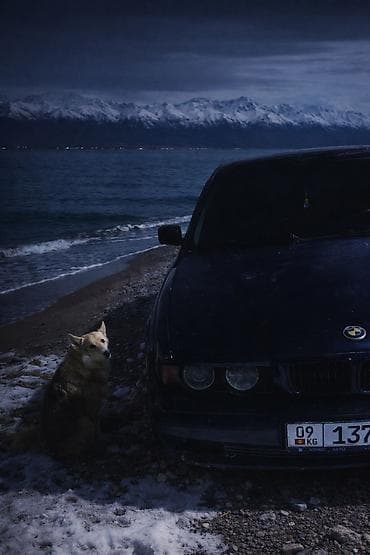 BMW: BMW 5 series: 1994 г., 2 л, Механика, Бензин, Седан — 3
