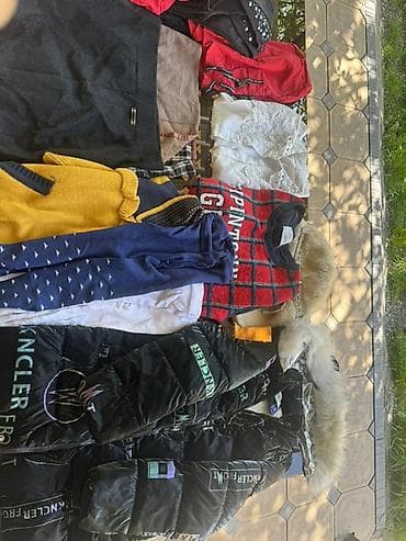 женский портфель: За все вместе 500 сомПодборка женской одежды и верхней одежды — 1