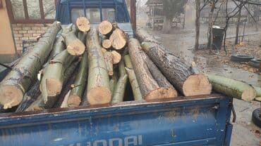 ведро для стирки: Дрова — 4