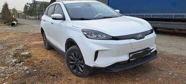 динамики на авто: Электрический кроссовер Weltmeister EX5 (левый руль) Основное: - — 2