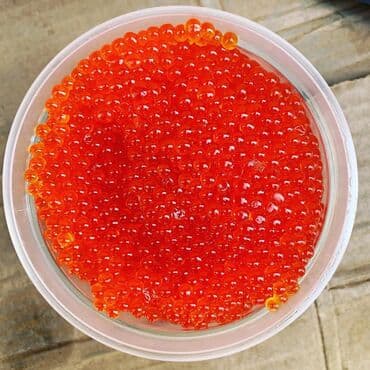 форель сокулук: Жаңы кармалган, Өзү алып кетүү, Акылуу жеткирүү — 1