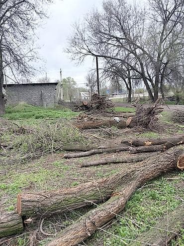 бак алма: Дрова — 2