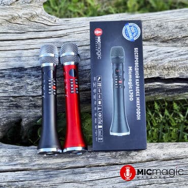 dsp: Оригинальный караоке микрофон Micmagic L700 * *Мощность 20w — 8