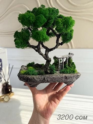 карликовые деревья: Миниатюрная Интерьерная Композиция Декор для дома и офиса «Бонсай» из — 2