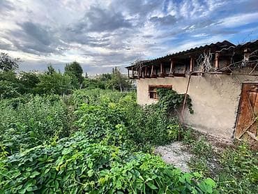 Кыймылсыз мүлк: 5 соток, Кызыл китеп — 5