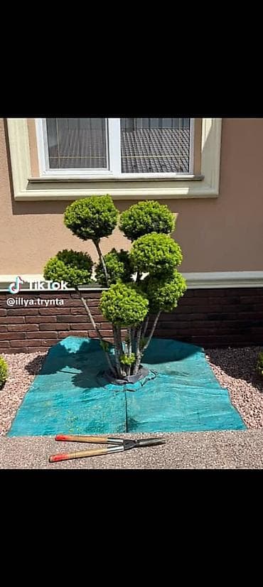 книжки сказки: Уборка территории — 5