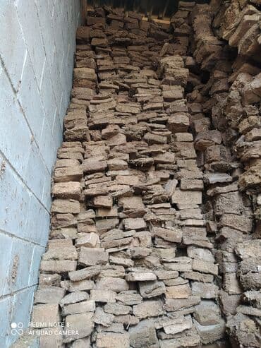 микрозелень цена бишкек: Коң. Гон, Тезек. Кизяк Койдуку. Кургак. Мешок озунордон. Баасы 200 — 1