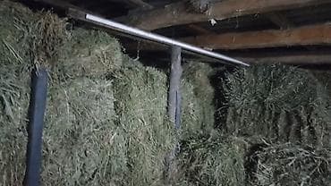 задаю: Сено в тюках (прямоугольные кирпичики). - Тип: луговое сено — 5