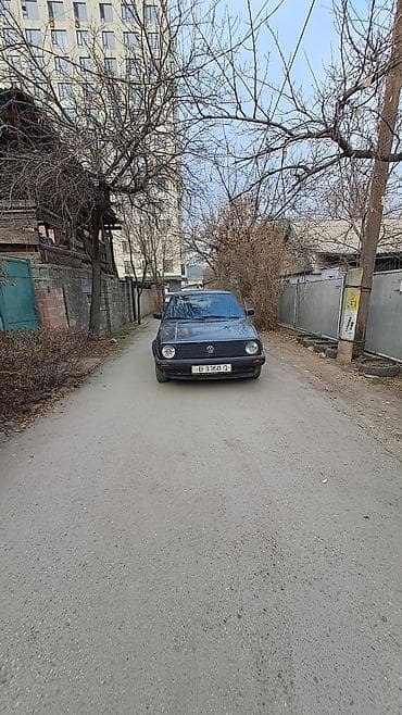 colf 2: Volkswagen Golf: 1990 г., Хэтчбэк — 1