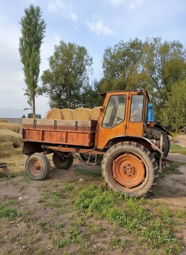купить шины r 17: Продается Трактор Т-16 с самосвальным кузовом вместе с прицепом Все — 1