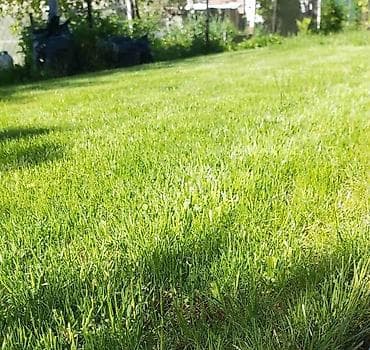 apple whatch se: 🌿 Газон 🌿 Посев газона 🌿Сеем газон 🌿 Ландшафтный дизайн 🌿 — 1