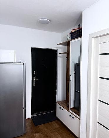 4: 1 комната, 25 м², Малосемейка, 4 этаж, Евроремонт — 5