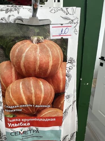 продаю овощи: Уруктар жашылчалардын: Капуста, Сабиз, Калемпирлер, Өзү алып кетүү, Акылуу жеткирүү — 17