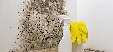 Дезинфекция, дезинсекция: Дезинфекция, дезинсекция, | Вирусы, микробы, | Квартиры — 1