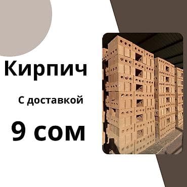 Пустотелый, дырчатый, Жженый кирпич, Полублок, 250×120×90