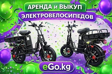 зад: Аренда и выкуп электровелосипедов eGo.kg - Грузовые электровелосипеды — 1