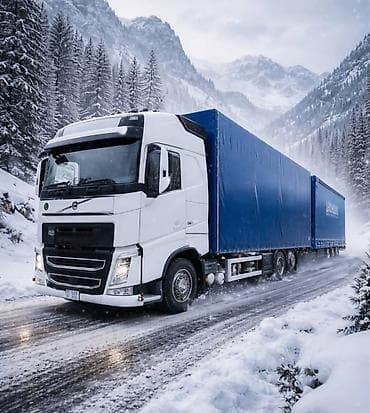 волва фм: Грузовик, Б/у — 3