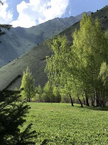 Jetour: 🌄 Откройте для себя дикие красоты с нашими джип-турами по горам! 🌄 — 9