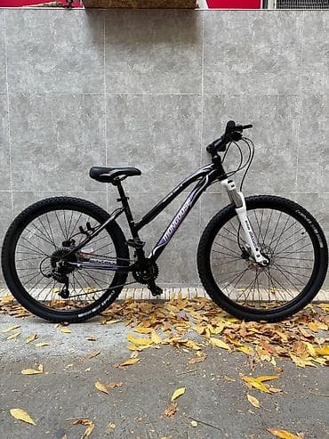 Детские велосипеды: Городской велосипед, Рама M (156 - 178 см), Б/у — 1