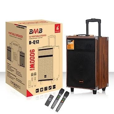 Аудиотехника: Портативная акустическая система BAAB B-Q12 (12") — мобильная колонка — 1