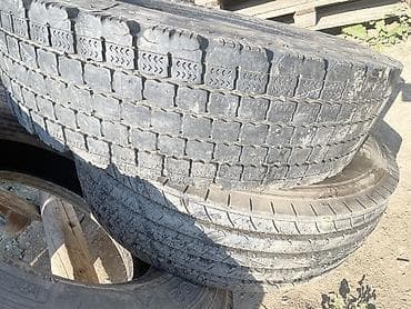 mtz 80: Шины 225 / 80 / R 17.5, Грузовики/Автобусы, Bridgestone — 2